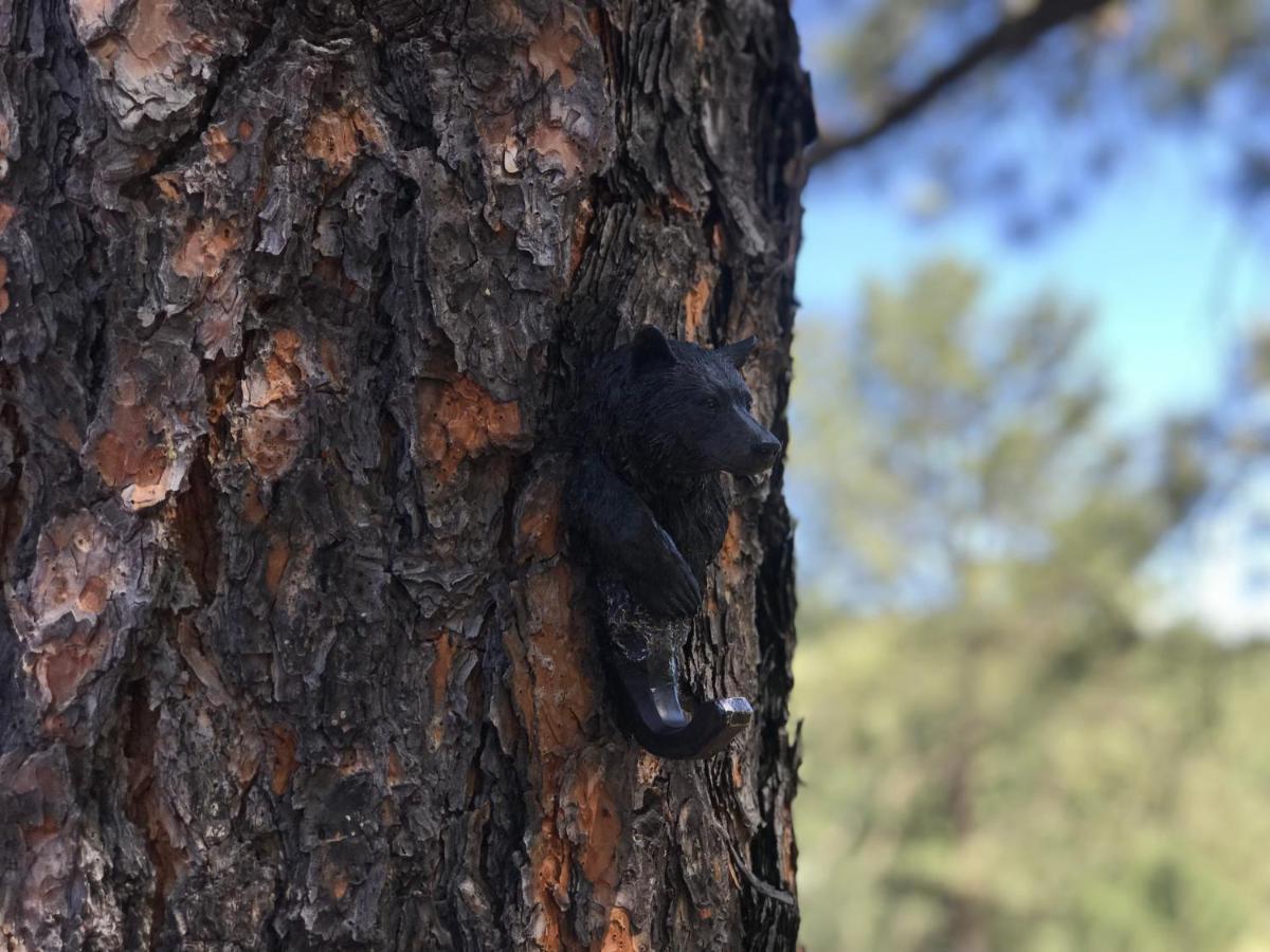 Gonzales Cozy Little Bear Cabin Руидозо Экстерьер фото